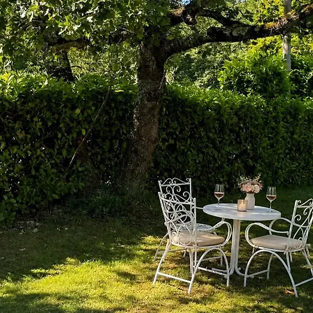 Marisa Olive Grove * Labin