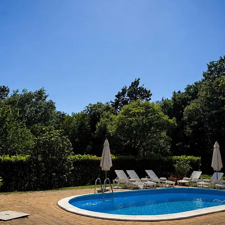 Apartman Marisa Olive Grove