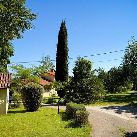 Marisa Olive Grove Labin (Istria)