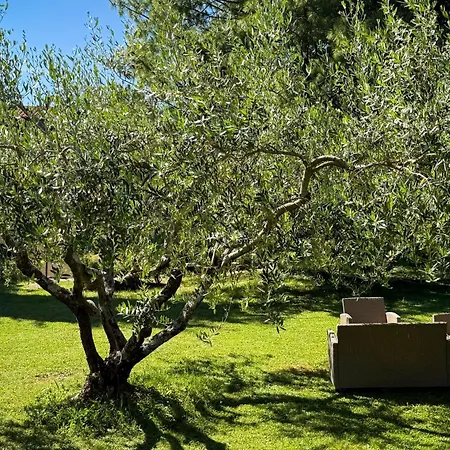 Apartmán Marisa Olive Grove *
