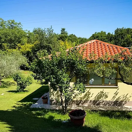 דירה Marisa Olive Grove *