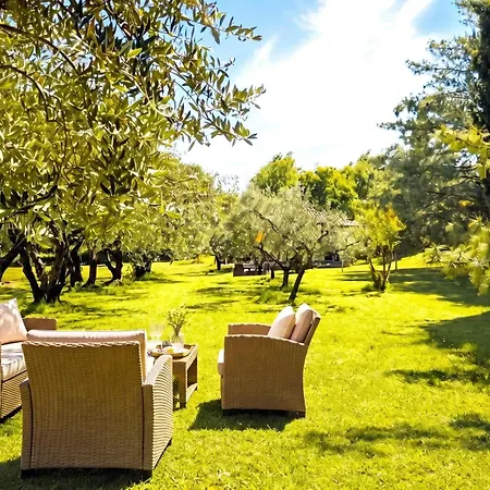 Marisa Olive Grove Apartman Labin (Istria)
