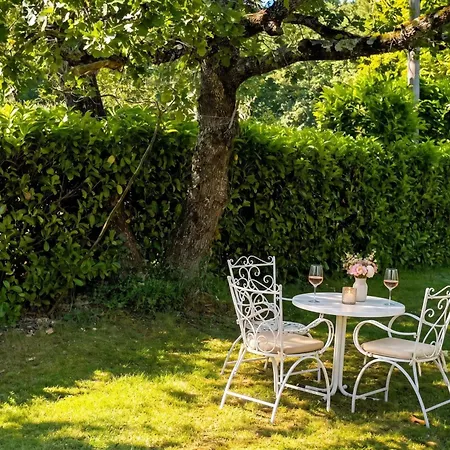 Apartman Marisa Olive Grove