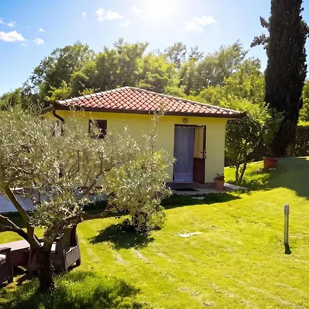 Marisa Olive Grove Apartman *
