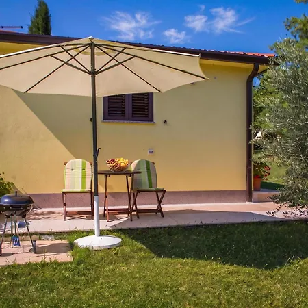 Marisa Olive Grove Apartman *