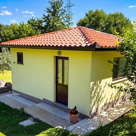 Marisa Olive Grove * Labin (Istria)