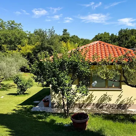 Marisa Olive Grove Labin (Istria)