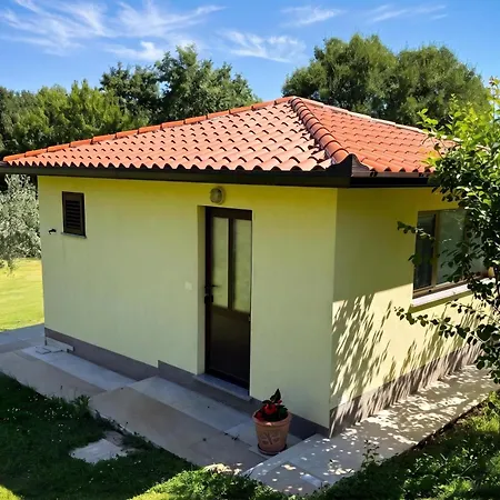 Marisa Olive Grove * Labin (Istria)